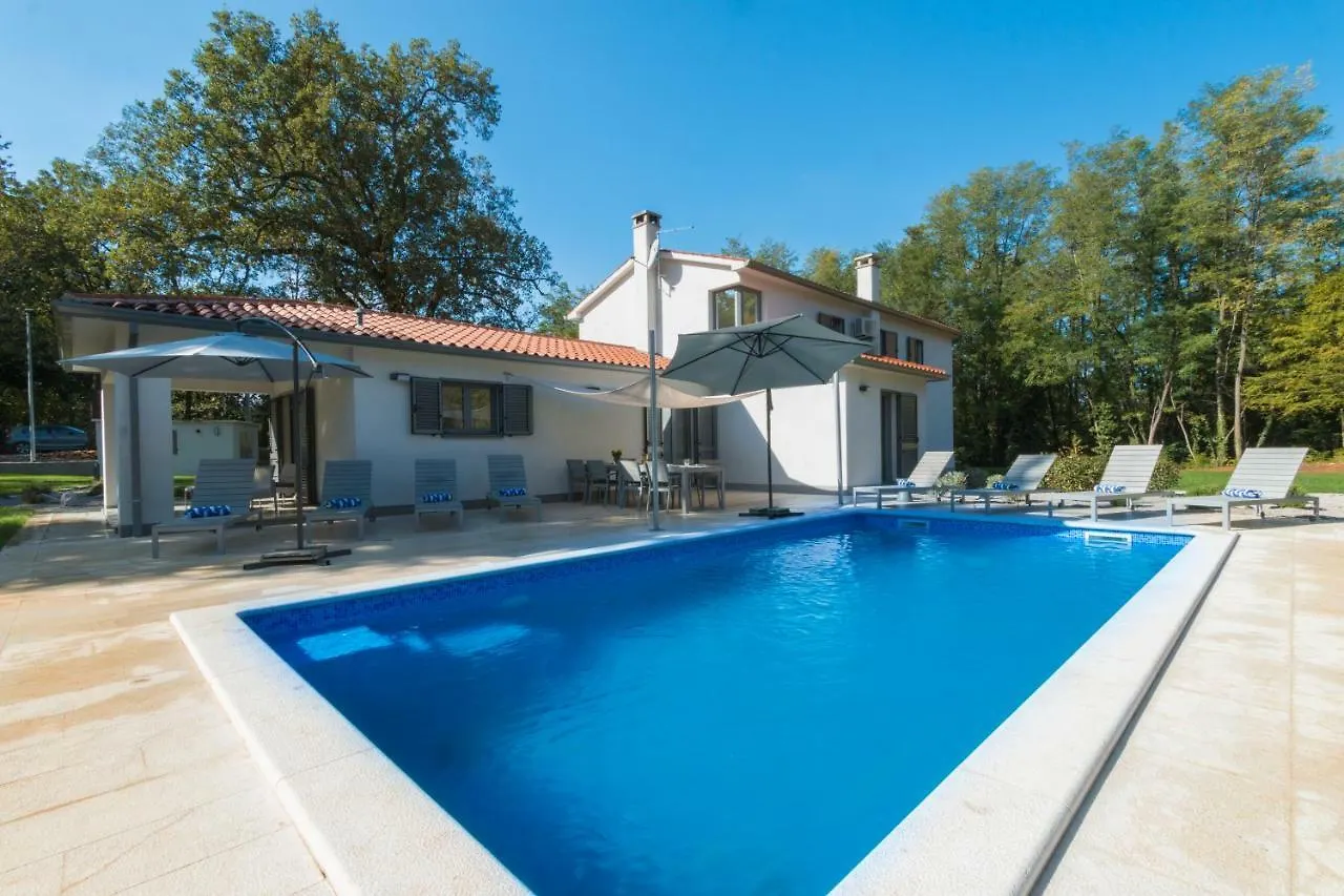 Villa Stepancic - Large Garden And Heated Pool Labin